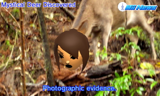 Illustration for article titled McFist's First 24 Hours of Tomodachi Life -- The Sequel's Prequel